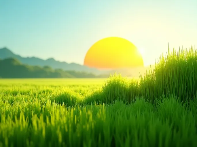 Vietnams Ecommerce Market Set to Surge by 2026