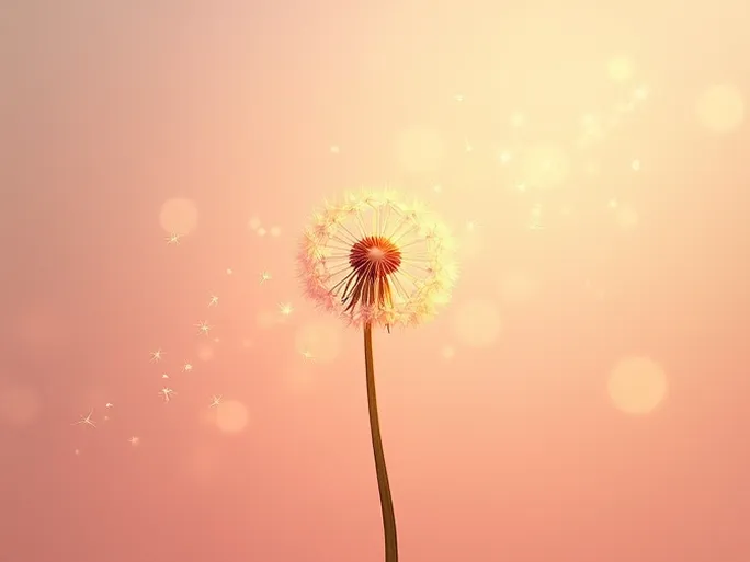 小红书内容加热内测品牌方流量新入口玩转蒲公英的秘密武器