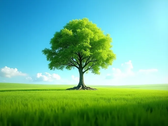 Facebook广告投放新策略告别兴趣定向拥抱广泛受众实现增长