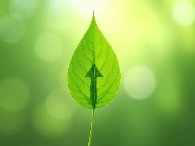 亚马逊气候友好计划卖家掘金绿标流量的实操指南