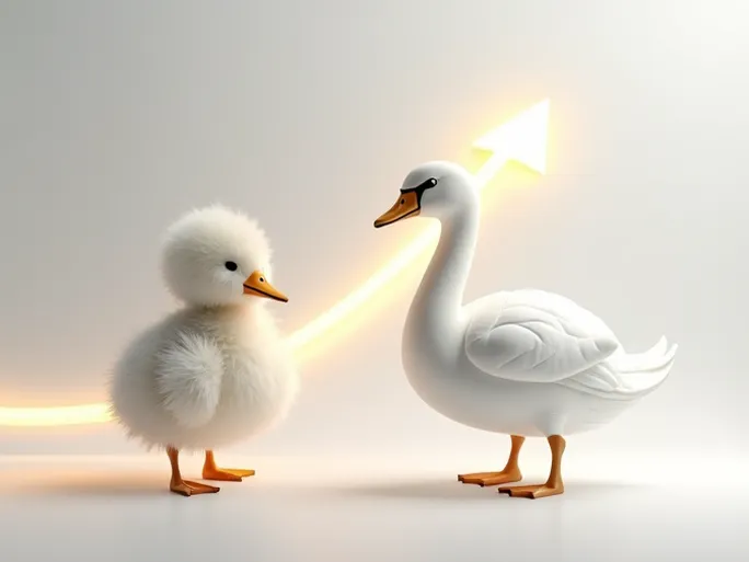 排骨羽绒逆袭深圳夫妻档如何靠小众风潮年销破亿