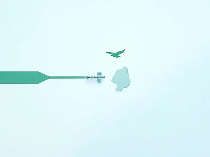 马尔代夫海关高管闭门修炼战略落地团队升级打造高效铁军