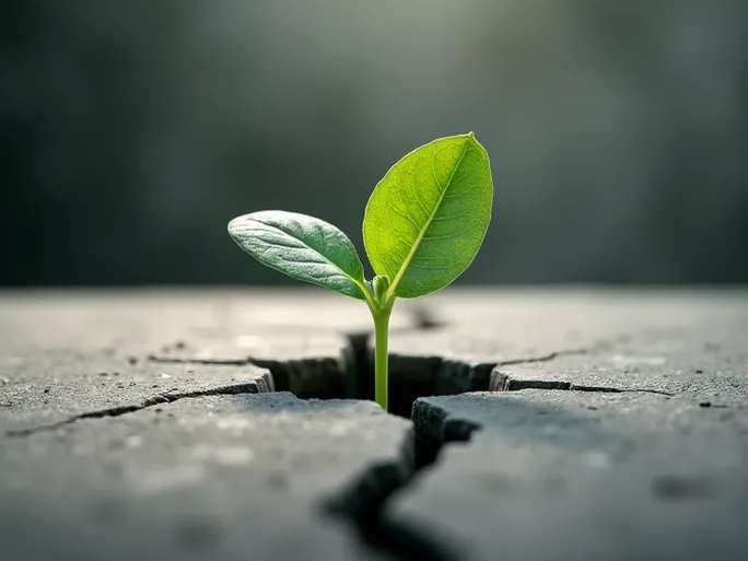 电商创业行动先于完美普通人的突围之路