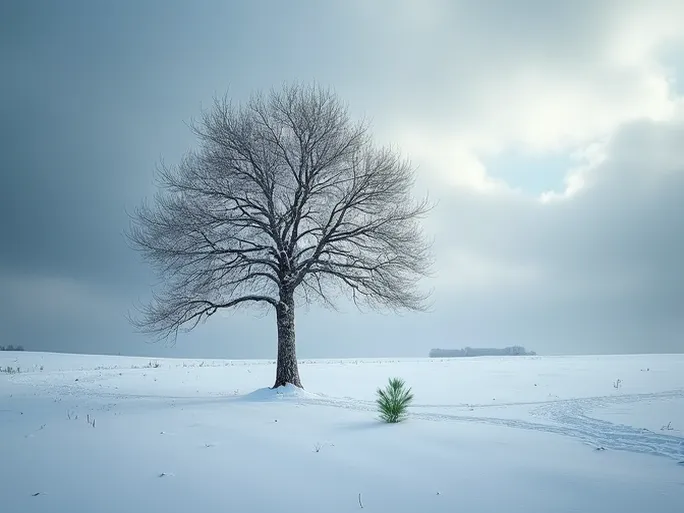 跨境电商凛冬已至棒谷停工待岗事件深度解析