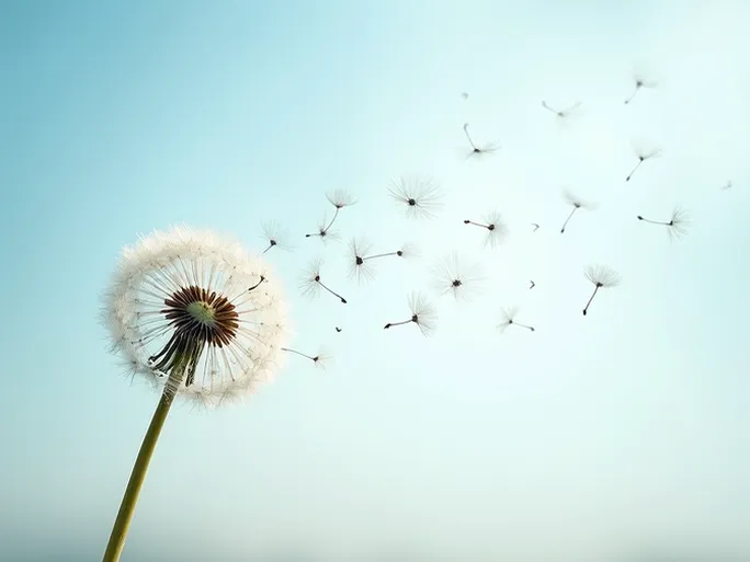 海外发稿全攻略品牌出海如何让世界听到你的声音