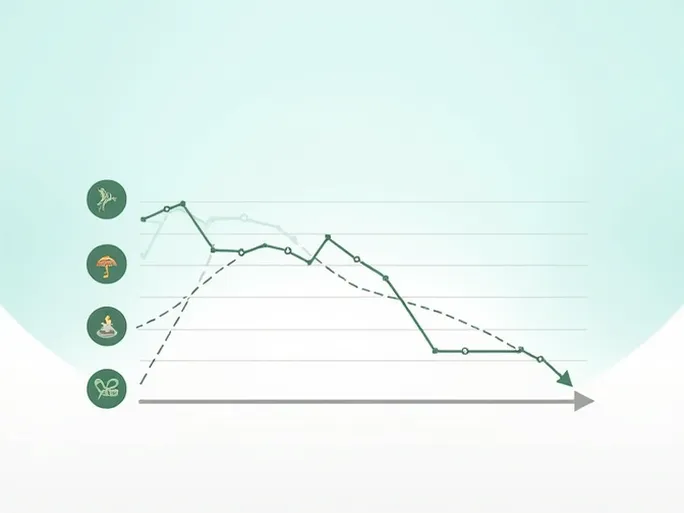 2025年美元对科摩罗法郎汇率分析