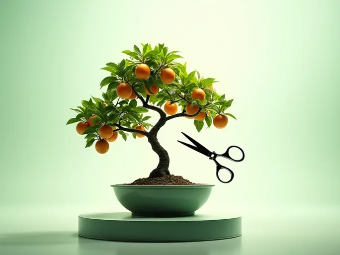 亚马逊生存法则账户安全升级长期合规运营才是王道