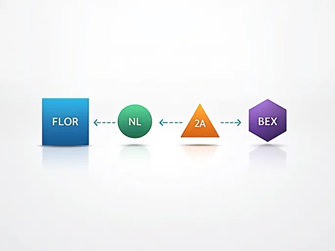 确保国际汇款顺畅了解NEDERLANDSCHE BANK的SWIFT代码FLORNL2ABEX