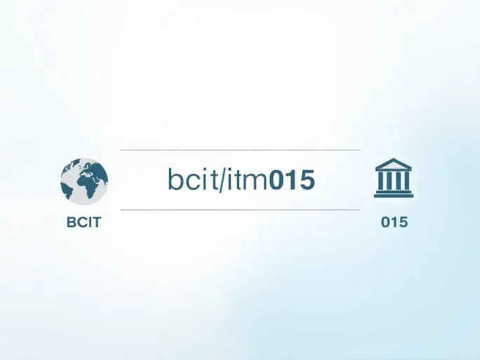 Intesa Sanpaolo Spas SWIFT Code BCITITMM015 Explained