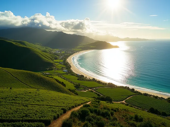 探索新西兰的空中珍珠怀赫基里夫机场概览