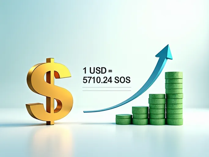 USD to Somali Shilling Exchange Rate Trends for Large Transfers