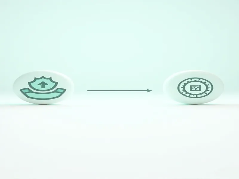 Customs Declaration Number and Seal Number Regulations