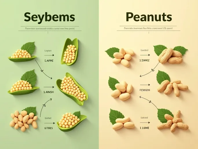US Eyes Trade Growth in Soybeans and Peanuts Via HS Codes