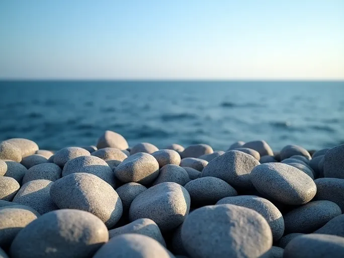 非制造业韧性十足连续20个月增长释放积极信号