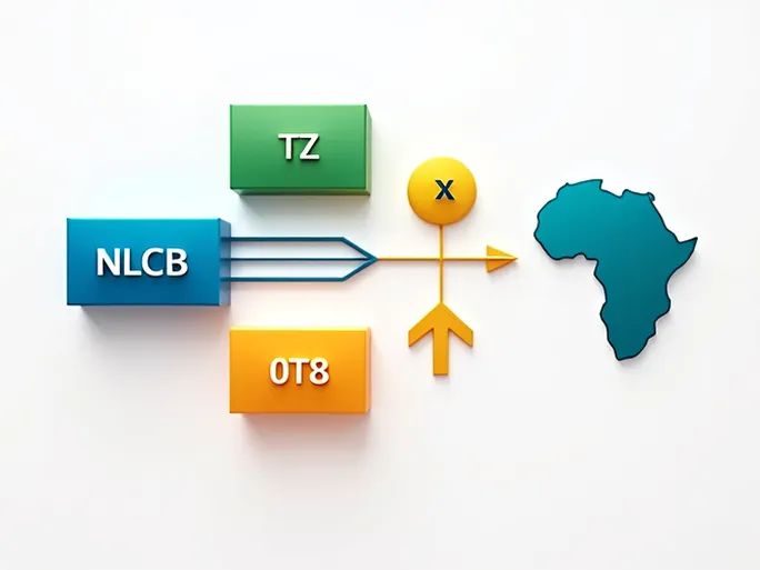 Guide to NLCBTZTX0T8 SWIFTBIC Code for International Transfers