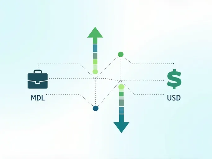 实时汇率解析MDL与USD的货币动态