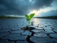 Trucking Industry Adapts Strategies Amid Market Downturn