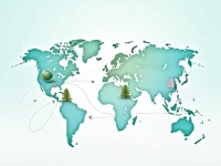 如何正确使用FTMDMD2XXXX SWIFT代码进行跨国转账