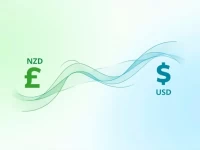 新西兰元对美元的价值变化及实用转换指导