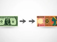 USD to Swazi Lilangeni Exchange Rate Trends Analyzed