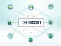埃及中央银行SWIFTBIC码全解析CBEGEGCX001的使用指南