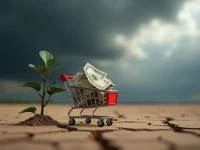 电商寒冬将至退货量攀升叠加供应链危机零售商利润空间恐遭挤压