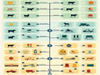 Tips and Techniques for Easily Remembering Customs HS Commodity Codes