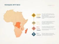 BEAC SWIFT BIC Code Streamlines Central African Transactions