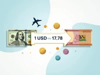 如何将500美元兑换成斯威士兰的兰吉尼