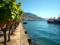 Exploring Pisco Perus Marine Jewel and Wine Region