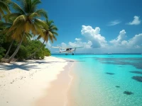 揭秘蜥蜴岛机场代码LZI通往大堡礁的隐秘入口