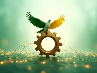 赋能海关未来WCO领导力与管理发展项目助力尼日利亚海关转型升级