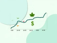 Canadian Dollar Fluctuations Impact Financial Planning
