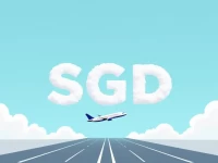 Sonderborg Airport Decoding SGD and EKSB Codes