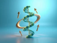 Berregene Bios IPO Approval Highlights Biomedical Sector Growth