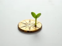 Amazon Revamps Top Reviewer Program Impacting Sellers