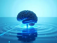 Citemet Launches SEO Strategy Targeting AI Traffic