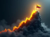 DIAN领导力跃升WCO赋能哥伦比亚税务高管打造危机应变铁军