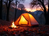 Retailers Adapt Product Lines for Seasonal Camping Surge in US and Europe