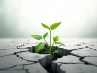 Yellows Bankruptcy Reshapes LTL Trucking Sector Spurs Competition