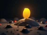 Ebay Sellers Face Risks in Counterfeit Goods Trade