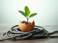 跨境电商测评如何突破买家账号成活率瓶颈纯净IP解决方案深度解析