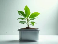 Maersk Enhances Cold Chain Logistics to Boost Business Efficiency