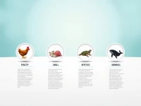 HS Codes and Export Rules for Global Meat Trade Clarified