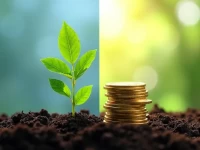 外贸独立站流量密码Google SEO vs SEM选对策略订单翻倍