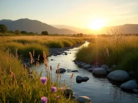 9月美国卡车货运市场现分化运量下滑运费小幅上涨预示风险