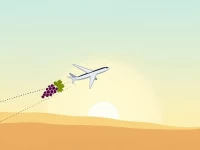 Guide to Margaret River Airport in Western Australia