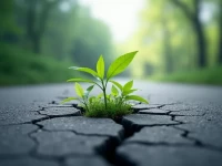 美国货运市场现筑底迹象运量与支出降幅收窄复苏曙光初现