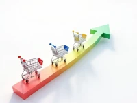Google Shopping Ads Drive Ecommerce Sales Growth