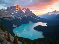 探索克兰布鲁克加拿大落基山国际机场的优势与服务